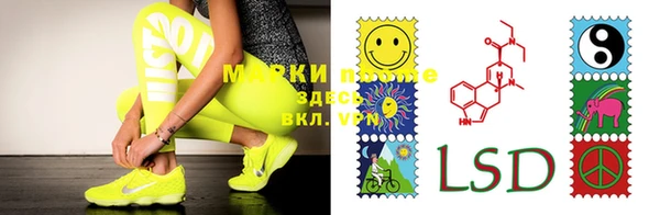 индика Семилуки