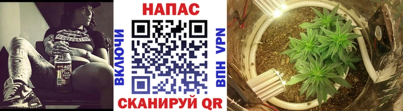 МАРИХУАНА индика Павловский Посад